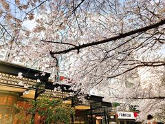 -玛格萝妮比萨屋(四平店)