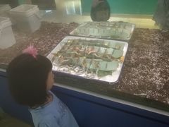 -上海昆虫博物馆