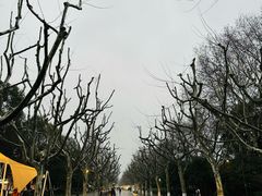 -菲乐餐厅(三十年经营·湖滨路店)