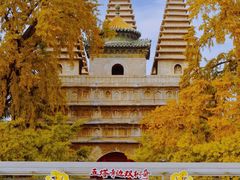 -北京石刻艺术博物馆(五塔寺)