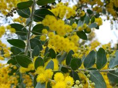 -广州市流溪河国家森林公园