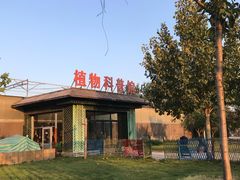-淄博花灯齐彩城