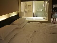 -芽庄喜来登水疗酒店