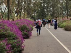 -白鹭湾湿地公园