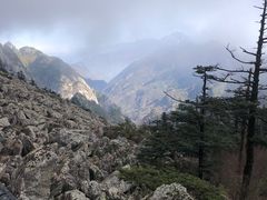 -朱雀国家森林公园