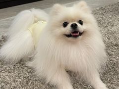 -美迦爱-牙专科·兔科·骨科诊疗中心(北苑店)