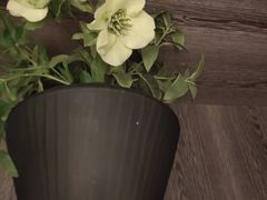 -Dragonfly 悠庭·按摩Spa(苏州中心广场店)