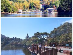 -庐山风景区花径公园