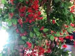 -湘邻呷铺·田园家宴(汉基广场店)