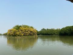 -大湾区中央湿地公园