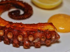 -壳里西餐厅Coquille Seafood Bistro(蒙自路店)