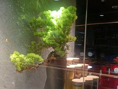 -阿伟海鲜楼·福建菜(延寿店)