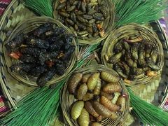 -昆虫窝子·特色云南菜(拓东路总店)