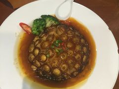 -石头咕(葵蓬店)