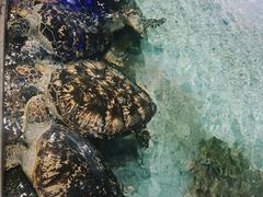 -福州罗源湾海洋世界旅游区