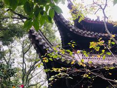 -天一阁博物院