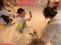 -猫咪博物馆(顶澳仔猫街店)