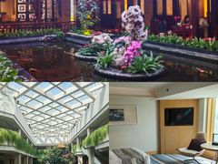 -广州白天鹅宾馆