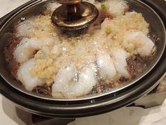 -同乐馆(阳光店)