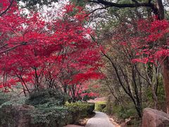 -岳麓山风景名胜区