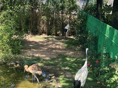 -西霞口神雕山野生动物世界