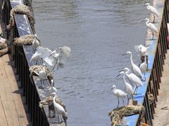 -南澳海滩