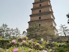 -大慈恩寺(大雁塔)