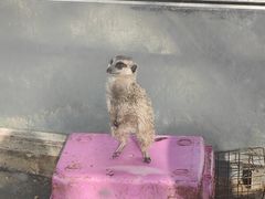 -水绘园