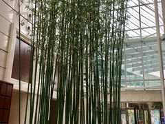 -上海雅居乐万豪侯爵酒店