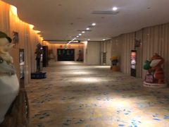 -武汉华夏国际影城(鲁广店)