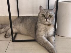 -Oasis绿洲银饰珍珠手作diy(壹方城店)