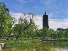 -西海子公园