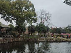 -无锡梅园公园