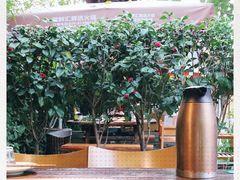 -二荆条·蜀鲜汇城市森林火锅
