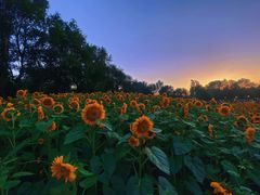 -长白岛森林公园