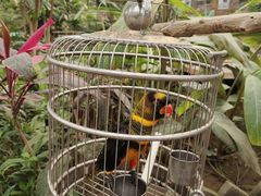 -南宫五洲植物乐园