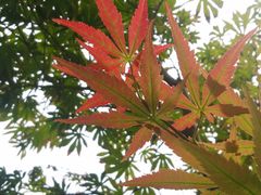 -北京宽沟会议中心