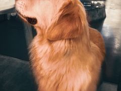 -百好乐宠物友好餐厅(朝外大街店)