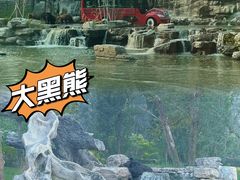 -北京野生动物园
