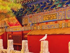 -潭柘寺景区