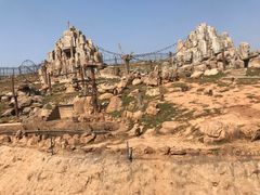 -石家庄市动物园