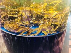 -蟹之国·精品蟹料理(极地店)