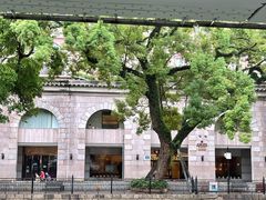 -广东胜利宾馆西关粤中餐厅