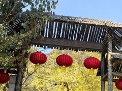-遵化市禅林寺古银杏风景园