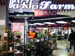 -哈尔信食品超市(哈尔滨王府井购物中心店)