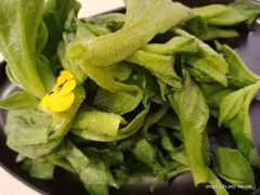 -卫鼎轩·家宴(水上公园店)