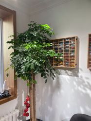 -英刺青 纹身 洗纹身