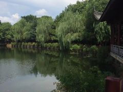 -雨湖公园