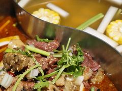 -今日炊牛·潮汕牛肉火锅(华采天地店)
