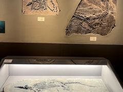 -天津自然博物馆